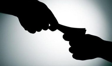 Σώμα Επιθεωρητών Ελεγκτών Δημόσιας Διοίκησης: Οι δήμοι πρωταθλητές στη διαφθορά