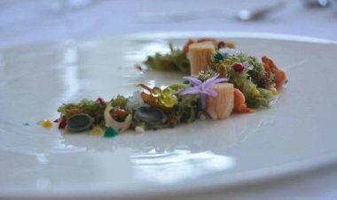 Οι νέοι σεφ του Νοτίου Αιγαίου δημιουργούν: Πραγματοποιήθηκε ο πρώτος διαγωνισμός για την ανάδειξη του υποψηφίου European Young Chef της χρονιάς