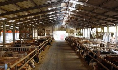 «Άδεια διατήρησης κτηνοτροφικών εγκαταστάσεων – Αιτήσεις μέχρι 4/12/2017»