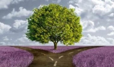 Ολοκληρώθηκε από την Περιφέρεια Ν. Αιγαίου η αξιολόγηση οκτώ (8) επενδυτικών σχεδίων που υπεβλήθησαν στην ΠΕ Κυκλάδων, για υπαγωγή στον Αναπτυξιακό Νόμο