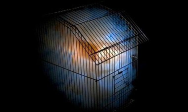 Περιοδική έκθεση «Κυκλαδικά Στιγμιότυπα» και εικαστική εγκατάσταση «(l)imited souls» στη Νάξο