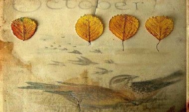 1η Οκτωβρίου!! Καλό Μήνα, με τις μυρουδιές της μουσκεμένης γης!!