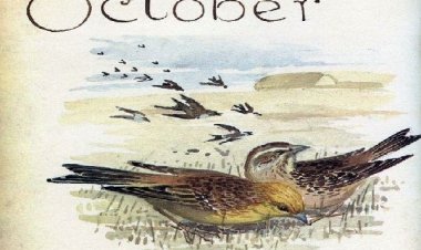 Καλό Μήνα 1η Οκτωβρίου!!