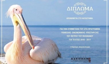 ΚΔΕΠΠΑΜ: Πρόσκληση για εθελοντική συμμετοχή και υποστήριξη προγράμματος «Πέτρος ο πελεκάνος»