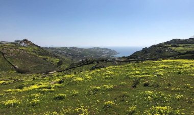 Ανατροπές στους Δασικούς Χάρτες - Προθεσμία μέχρι 30 Αυγούστου, για την Υποβολή Αντιρρήσεων στην Μύκονο και τις Κυκλάδες