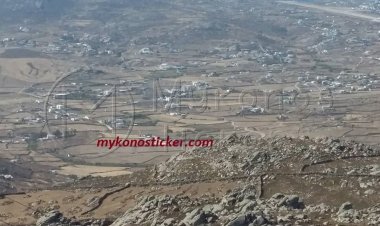 Δασικοί χάρτες: Απόφαση καταπέλτης από το ΣτΕ για τις εκπρόθεσμες αντιρρήσεις [Η απόφαση]