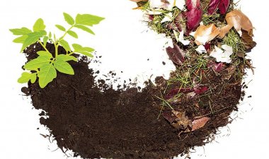 Το Εγχειρίδιο της ΜΟΔ: «Μεθοδολογία Ανάπτυξης Δημοτικού Συστήματος Διαχείρισης Βιοαποβλήτων» [pdf]