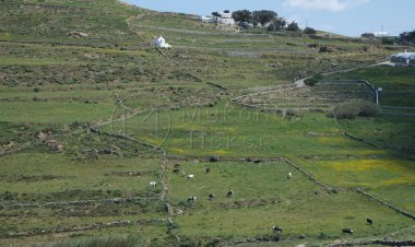 ΥΠΕΝ: Παράταση αντιρρήσεων έως 30 Νοεμβρίου κατά αναρτημένων δασικών χαρτών (Ανω Μεράς Μυκόνου)