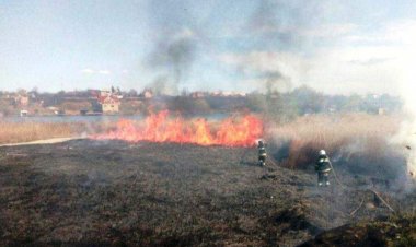 Μεγάλη Φωτιά σε δάσος κοντά στο Τσερνόμπιλ προκαλεί αύξηση της ραδιενέργειας