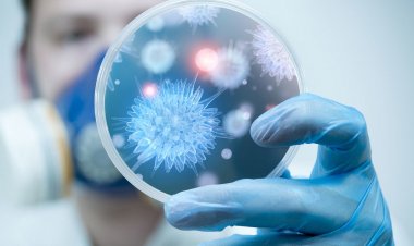 Coronavirus Pandemic: Πώς εξαλείφονται οι Πανδημίες [Τι μαθαίνουμε από αυτές]