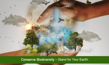 Παγκόσμια Ημέρα Περιβάλλοντος 2020!! Theme of World Environment Day 2020: "Biodiversity" [Video]