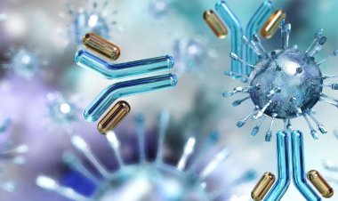 Coronavirus Disease: 31 νέα περιστατικά μόλυνσης - Τα 8 στις πύλες εισόδου, κανένας νέος θάνατος