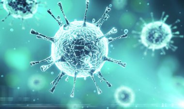 Coronavirus Disease: 203 νέα περιστατικά μόλυνσης – 22 διασωληνωμένοι, ένας νέος θάνατος