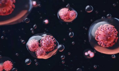 Coronavirus Disease: 126 νέα περιστατικά μόλυνσης – 24 διασωληνωμένοι, ένας νέος θάνατος