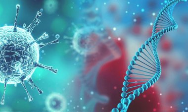 Coronavirus Disease: 168 νέα περιστατικά μόλυνσης – Τα 20 στις πύλες εισόδου, ένας νέος θάνατος