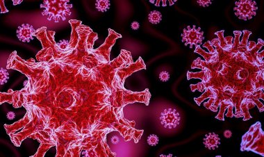 Coronavirus Disease: 187 νέα περιστατικά μόλυνσης – Τα 27 στις πύλες εισόδου, ένας νέος θάνατος