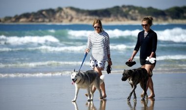 Coronavirus Pandemic-Lockdown: Ποιες καθημερινές συνήθειες αυξάνουν τον κίνδυνο μόλυνσης από Κορωνοϊό και σε ποιο ποσοστό