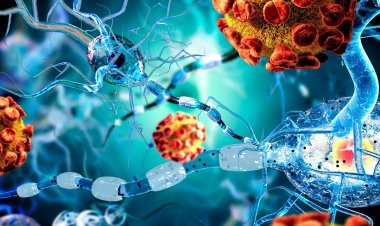 Coronavirus Disease: 599 νέα περιστατικά μόλυνσης –  328 νοσηλεύονται διασωληνωμένοι, 33 νέοι θάνατοι