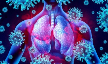 Coronavirus Disease: 320νέα περιστατικά μόλυνσης –  322 νοσηλεύονται διασωληνωμένοι, 19 νέοι θάνατοι