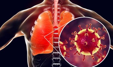 Coronavirus Disease: 566 νέα περιστατικά μόλυνσης –  320 νοσηλεύονται διασωληνωμένοι, 30 νέοι θάνατοι