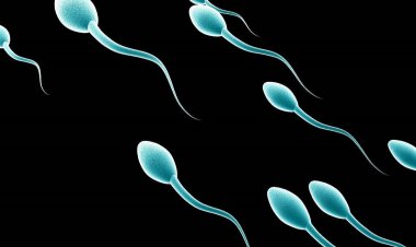 Coronavirus Disease: Επηρεάζει ο κορωνοϊός την ανδρική γονιμότητα; Νέα μελέτη προκαλεί διχογνωμία