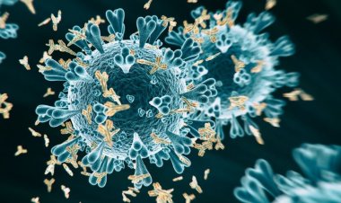 Coronavirus Disease: 4801 νέα περιστατικά μόλυνσης, τα 6 στην Μύκονο  –  683 νοσηλεύονται διασωληνωμένοι, 77 νέοι θάνατοι