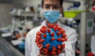 Coronavirus Disease: 2.219 νέα περιστατικά μόλυνσης –  449 νοσηλεύονται διασωληνωμένοι, 35 νέοι θάνατοι