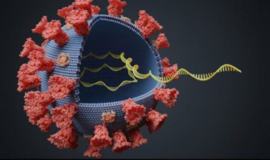 Coronavirus Disease: 2.570 νέα περιστατικά μόλυνσης [Τα 3 στην Μύκονο] –  506 νοσηλεύονται διασωληνωμένοι, 51 νέοι θάνατοι