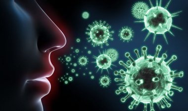 Coronavirus Disease: 52 κρούσματα στο Νότιο Αιγαίο - 1.649 κρούσματα σε Αττική, 467 σε Θεσσαλονίκη - Η κατανομή