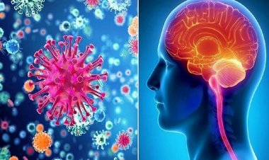 Coronavirus Disease: 3.015 νέα περιστατικά μόλυνσης, 831 –  86 νοσηλεύονται διασωληνωμένοι, 86 νέοι θάνατοι