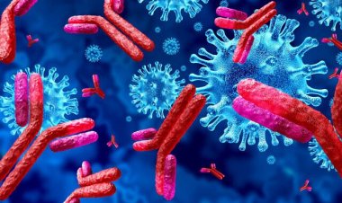 Coronavirus Disease: 37 κρούσματα στο Νότιο Αιγαίο - 1.355 κρούσματα σε Αττική, 343 σε Θεσσαλονίκη - Η κατανομή