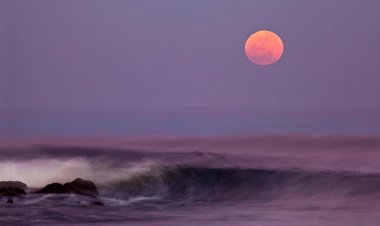 Full Pink Moon: Η «ροζ πανσέληνος» μαγικό θέαμα στον ουρανό!! Η πιο φωτεινή Πανσέληνος της χρονιάς, σηματοδοτεί το τέλος του χειμώνα [Live]