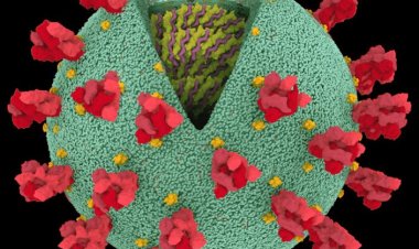 Coronavirus Disease: 1.387 νέα περιστατικά μόλυνσης, το 1 στην Μύκονο  –  783 νοσηλεύονται διασωληνωμένοι, 81 νέοι θάνατοι