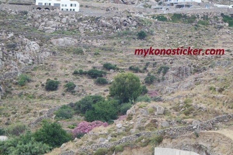 Εγκύκλιος για τους αναρτημένους δασικούς χάρτες