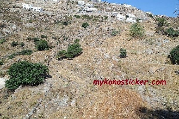 Παρατείνεται έως τις 7 Σεπτεμβρίου 2017 η ανάρτηση των δασικών χαρτών