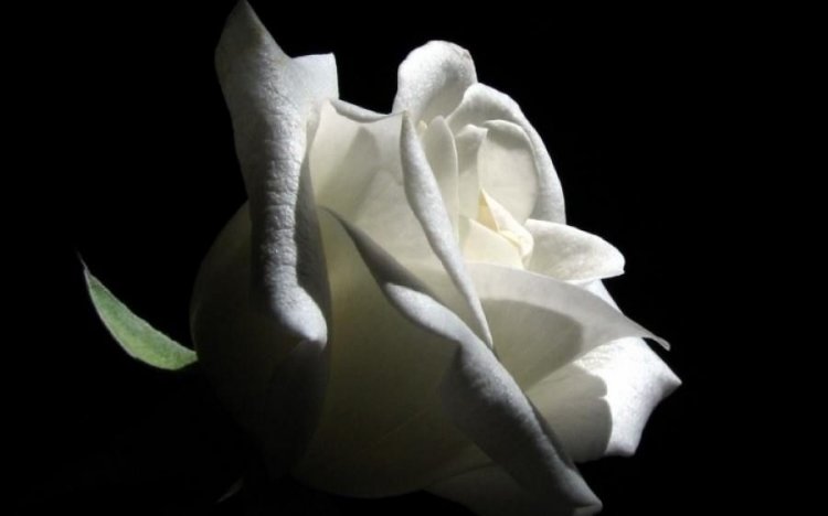 Συλλυπητήρια Δήλωση των βουλευτών Κυκλάδων του ΣΥΡΙΖΑ, για την απώλεια του Δημάρχου Τήνου