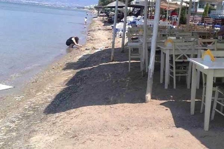 Ανοίγουν κερκόπορτα για αυθαιρεσίες στον αιγιαλό