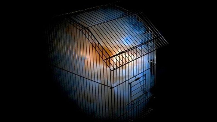 Περιοδική έκθεση «Κυκλαδικά Στιγμιότυπα» και εικαστική εγκατάσταση «(l)imited souls» στη Νάξο