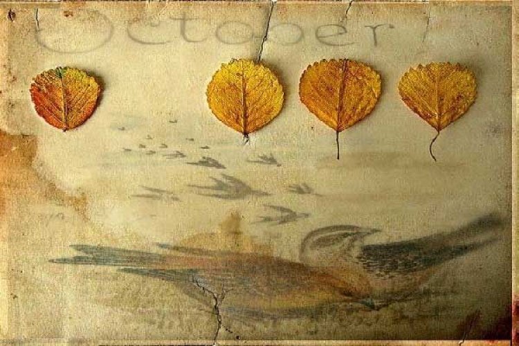 1η Οκτωβρίου!! Καλό Μήνα, με τις μυρουδιές της μουσκεμένης γης!!