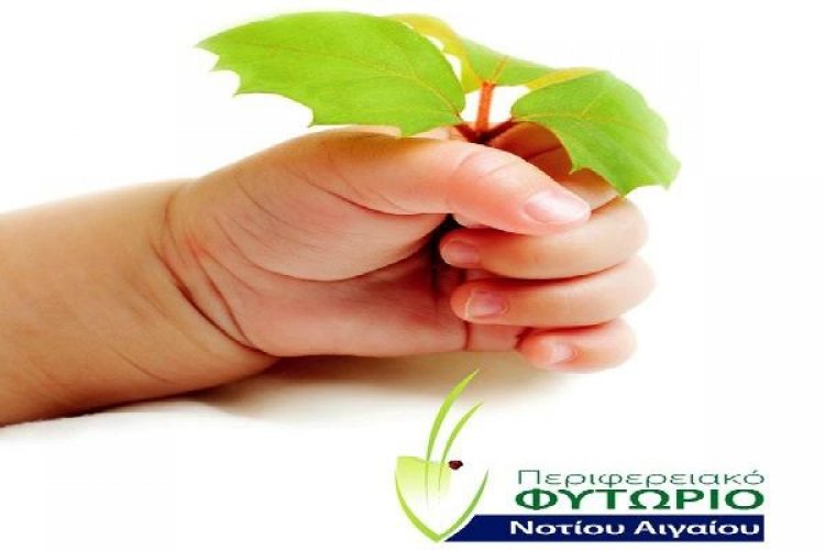 Σύρος: "Η Γη είναι στα χέρια σου" Μεγάλη γιορτή για την Παγκόσμια Ημέρα Περιβάλλοντος