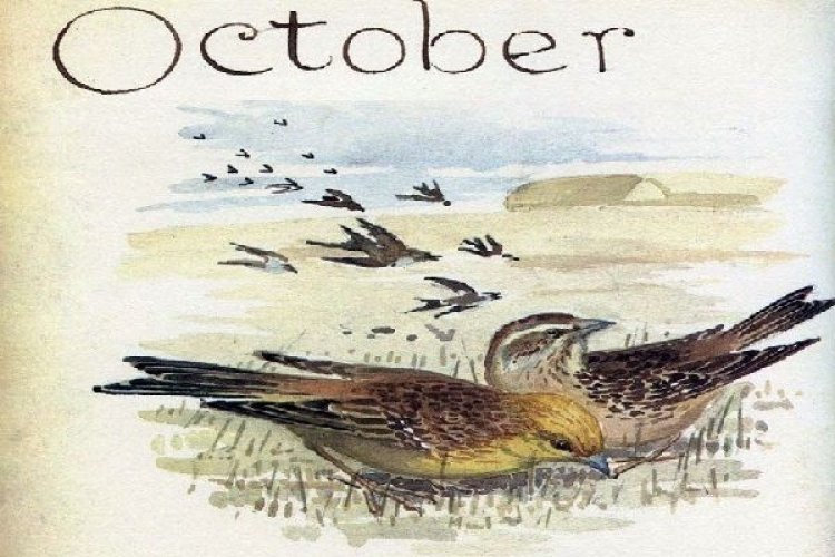 Καλό Μήνα 1η Οκτωβρίου!!