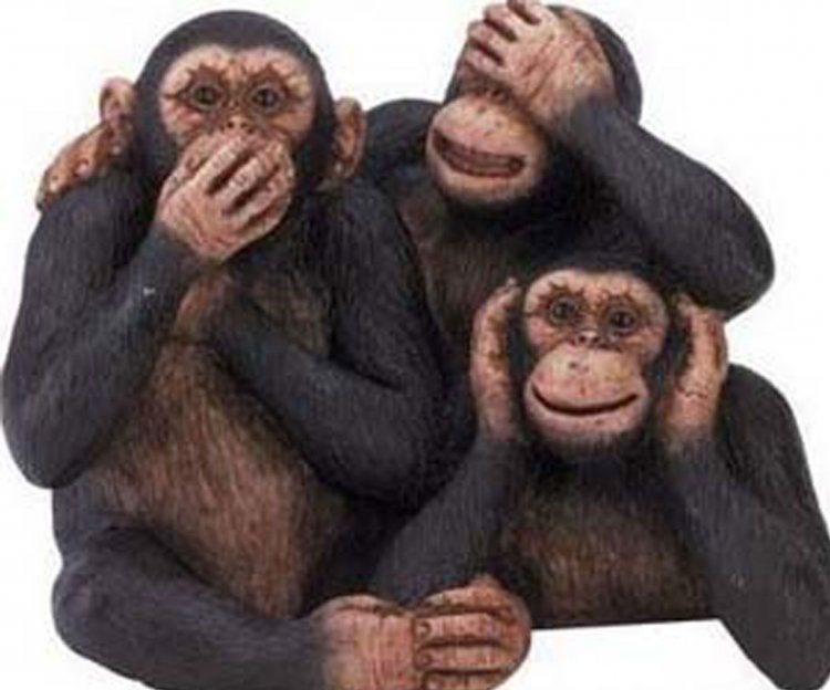 Εταιρεία «φάντασμα» διενήργησε δημοσκοπήσεις σε Δήμους και στο Δήμο Μυκόνου