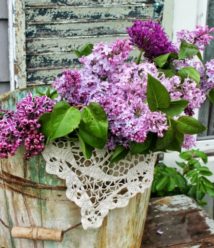 Εαρινή ισημερία: Η πρώτη μέρα της άνοιξης!! Γιορτάζουμε επίσημα την πρώτη μέρα της άνοιξης με ένα σπάνιο φαινόμενο!!