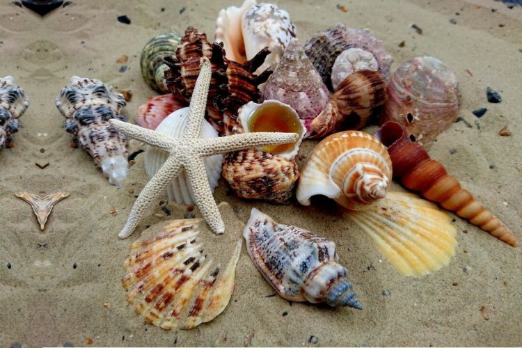 Ημερήσιες προβλέψεις σε όλα τα ζώδια για το Σάββατο 13/7/2019