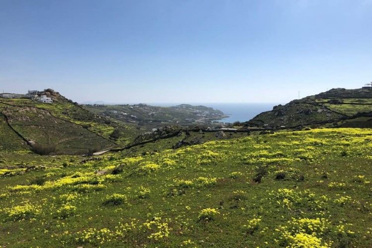 Ανατροπές στους Δασικούς Χάρτες - Προθεσμία μέχρι 30 Αυγούστου, για την Υποβολή Αντιρρήσεων στην Μύκονο και τις Κυκλάδες