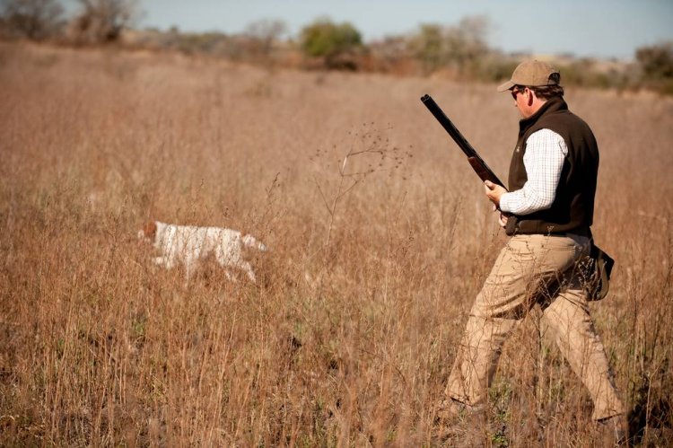 Πότε αρχίζει και πόσο θα διαρκέσει η κυνηγετική περίοδος - Ποιές αλλαγές  φέρνει η νέα Απόφαση