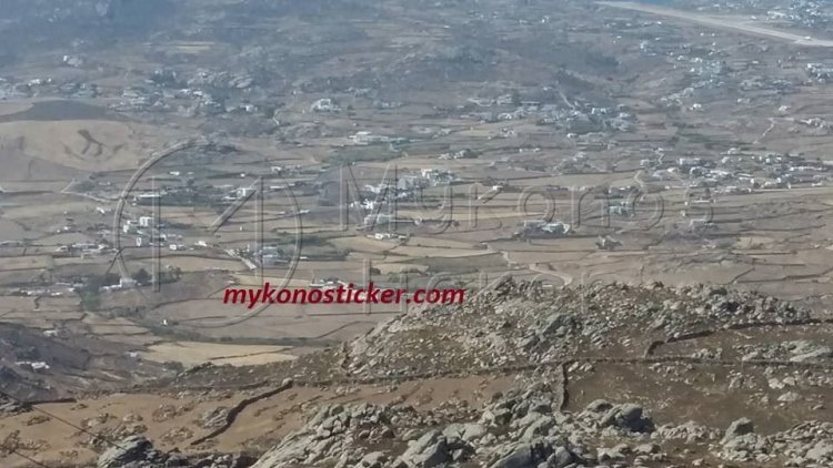 Δασικοί χάρτες: Απόφαση καταπέλτης από το ΣτΕ για τις εκπρόθεσμες αντιρρήσεις [Η απόφαση]