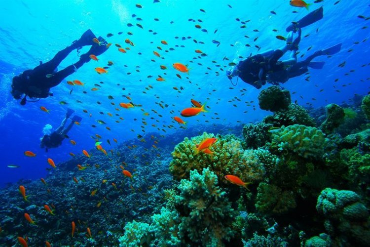 Στην τελική φάση το νέο νομοσχέδιο για τον καταδυτικό τουρισμό και τα καταδυτικά αξιοθέατα