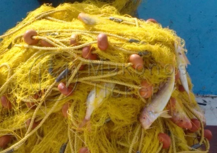 Υπερασπιστές των Κυκλαδίτικων νησιών και της θαλάσσιας προστασίας τους στο Λονδίνο