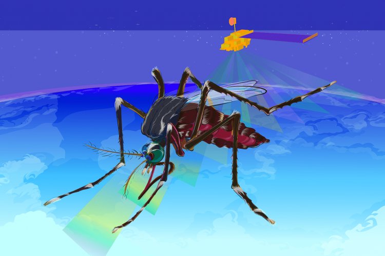 Οδηγίες στους ΟΤΑ για τα Προγράμματα Κουνουπιών 2020, από τον Εθνικό Οργανισμό Δημόσιας Υγείας [Έγγραφα]